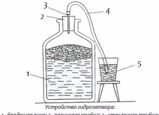 Гидрозатвор: важный инструмент каждого винодела!